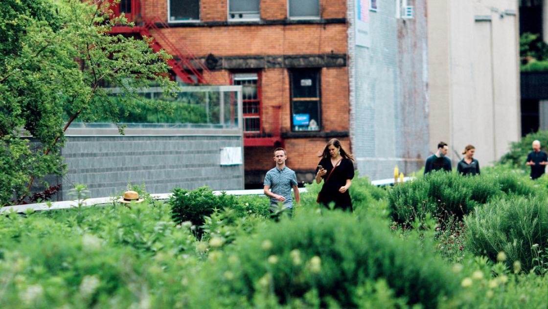 Ein Urban-Gardening-Projekt in New York, 13.6.2021, Jon Tyson via unsplash.com Ein Urban-Gardening-Projekt in New York, 13.6.2021, Jon Tyson via unsplash.com