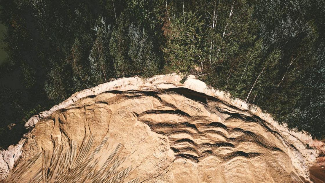 Der Rand eines Waldes von Ivan Bandura / Unsplash |https://unsplash.com/@unstable_affliction