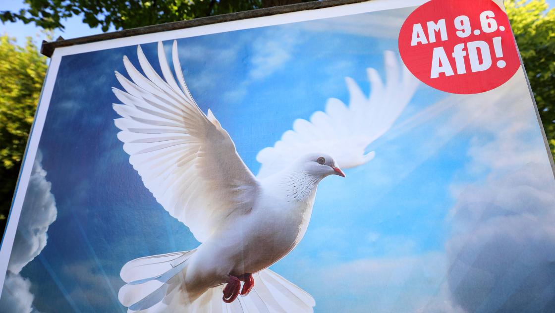 AfD-Wahlplakat zur Europawahl 2024 in München, 11.5.2024 (IMAGO / Müller-Stauffenberg)