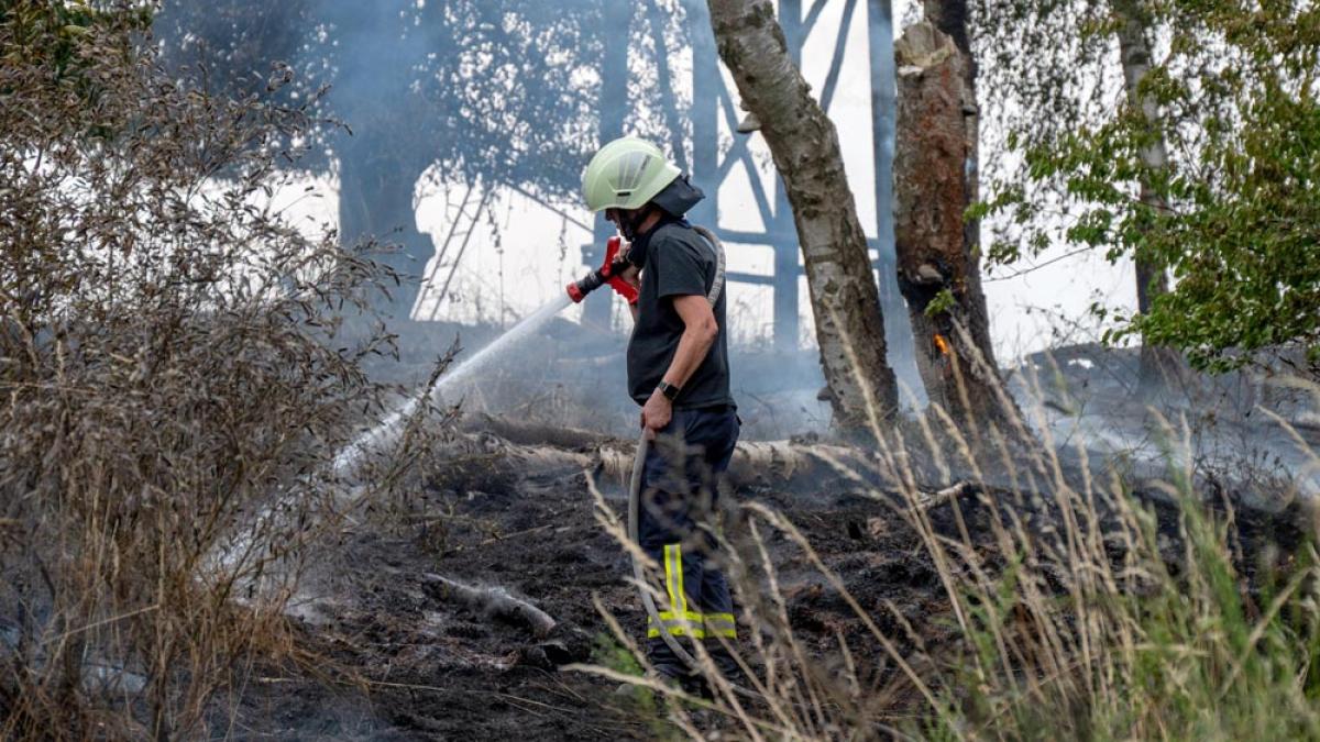Die Feuerwehr löscht einen großer Waldbrand im Landkreis Nordsachsen, 6.7.2025 (IMAGO / EHL Media)