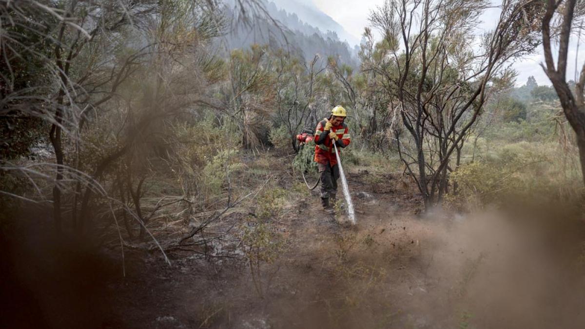 Löscharbeiten gegen die Waldbrände in Chubut, im Süden Argentiniens, 2.2.2026 (IMAGO / Anadolu Agency)