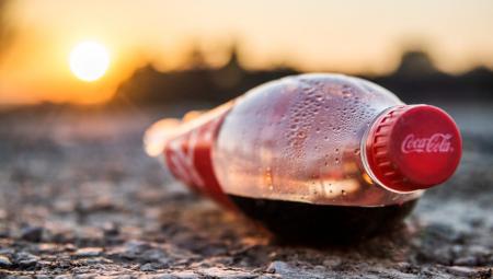 Ivan Radic: "Weggeworfene Plastikflasche steht stellvertretend für das immer größer werdene Problem von Plastikmüll"|https://flickr.com/photos/26344495@N05/49388974721__BREAK__(Attribution License)|https://creativecommons.org/licenses/by/2.0/