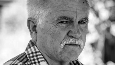 Mike Davis, 2017, wikimedia/archinect.com/CC-BY-SA-4.0
