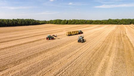 Traktoren bei der Strohernte in der Region Weser-Ems in Niedersachsen, 15.7.2023 (IMAGO / Countrypixel)