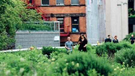 Ein Urban-Gardening-Projekt in New York, 13.6.2021, Jon Tyson via unsplash.com