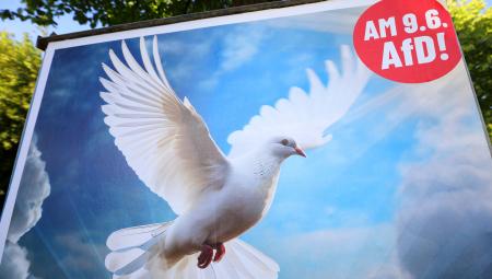 AfD-Wahlplakat zur Europawahl 2024 in München, 11.5.2024 (IMAGO / Müller-Stauffenberg)