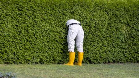 Symbolbild: Ein Mann mit gelben Gummistiefeln und weißer Arbeitshose steckt den Oberkörper in eine grünen Hecke (IMAGO / C3 Pictures)