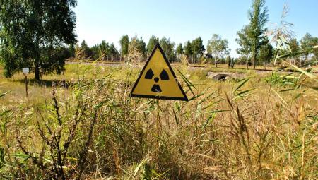 Ein Strahlenwarnzeichen am Waldrand (IMAGO / Depositphotos)