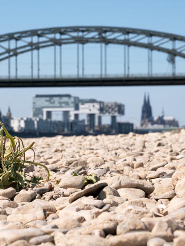 Das Rheinufer in Köln, 13.10.2022 (IMAGO / Panthermedia)