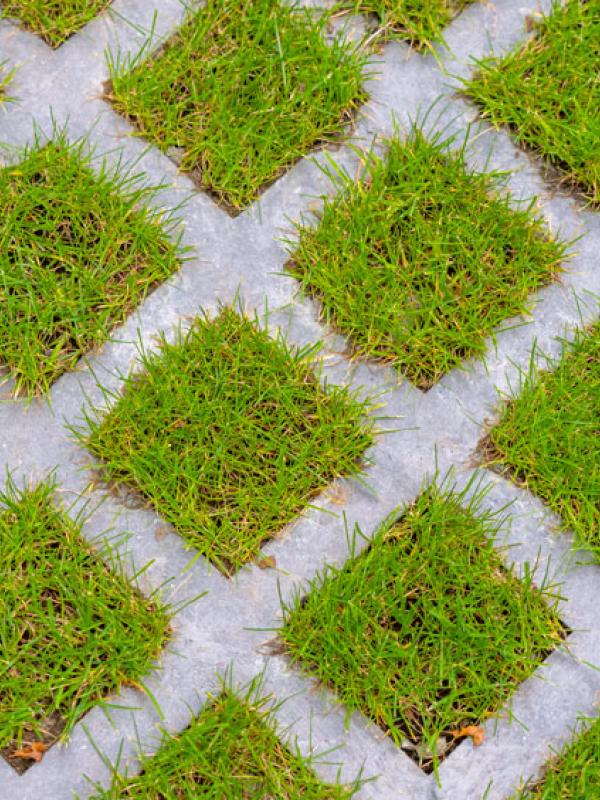 Für eine Teilentsiegelung des Bodens können Rasengittersteine genutzt werden: Zwischen den wabenförmigen Pflastersteinen kann Rasen wachsen, was die Versickerung von Niederschlagswasser verbessert (IMAGO / Jochen Tack)