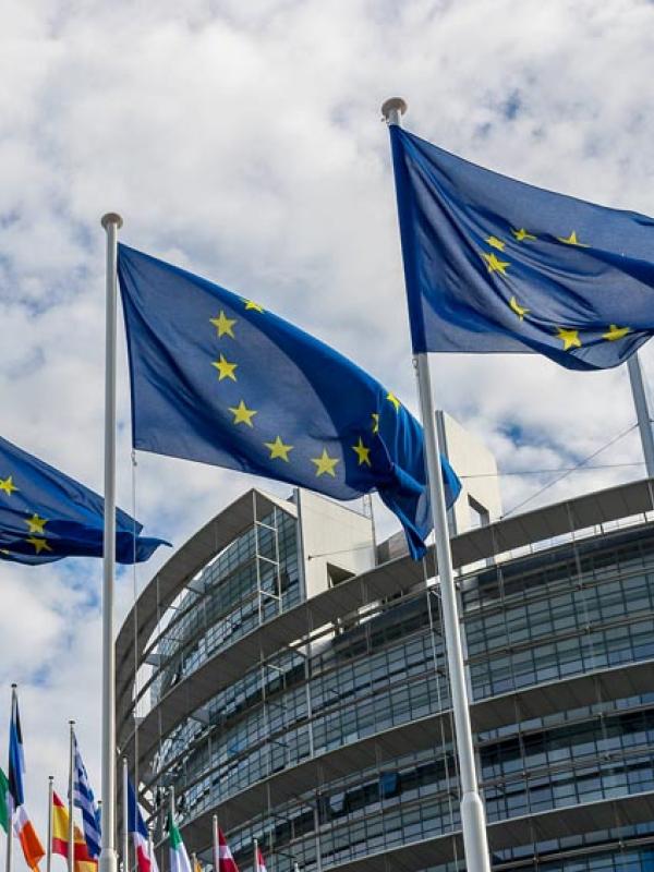 Wehende Flaggen der Europäischen Union vor dem Gebäude des Europäischen Parlaments in Straßburg (IMAGO / Ardan Fuessmann)