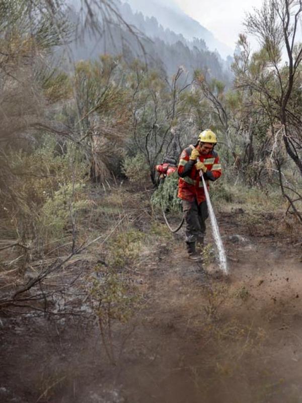 Löscharbeiten gegen die Waldbrände in Chubut, im Süden Argentiniens, 2.2.2026 (IMAGO / Anadolu Agency)