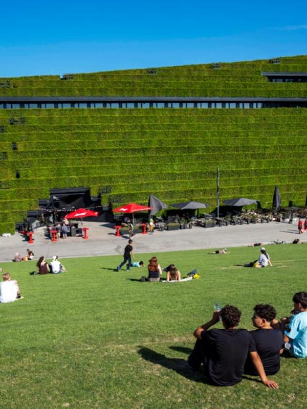 Europas größte Grünfassade befindet sich in Düsseldorf. Die Fassade des Kö-Bogen II ist mit mehr als 30.000 Hainbuchen-Heckenpflanzen begrünt. Diese fungieren als Hitzepuffer und geben zudem Feuchtigkeit über die Blätter ab und kühlen so die Umgebungsluft durch die Verdunstung. (IMAGO / Jochen Tack)
