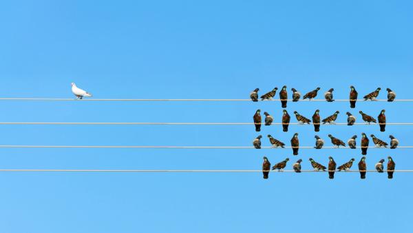 #OgnjenO / iStock|https://www.istockphoto.com/de/portfolio/OgnjenO