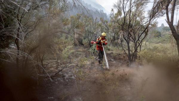 Löscharbeiten gegen die Waldbrände in Chubut, im Süden Argentiniens, 2.2.2026 (IMAGO / Anadolu Agency)